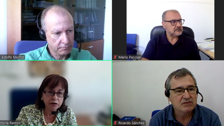 Éxito del webinar del GT-ESalud del COIT “El espacio de datos en salud” moderado por Victoria Ramos González, secretaria de la AEIT-Madrid