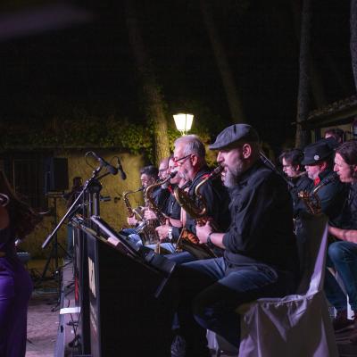 Copia De Aeit Concierto De Verano 2024 193